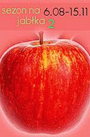 Zdjęcie - Kaczka pieczona z jabłkami i suszonymi śliwkami z aromatycznym sosem pieczeniowym - Przepisy kulinarne ze zdjęciami