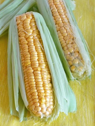 Zdjęcie - Żółty chleb z kukurydzą - Przepisy kulinarne ze zdjęciami