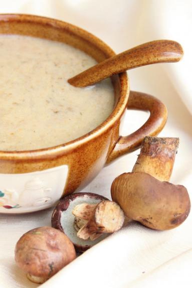 Zdjęcie - Zupa – krem z grzybów leśnych - Przepisy kulinarne ze zdjęciami