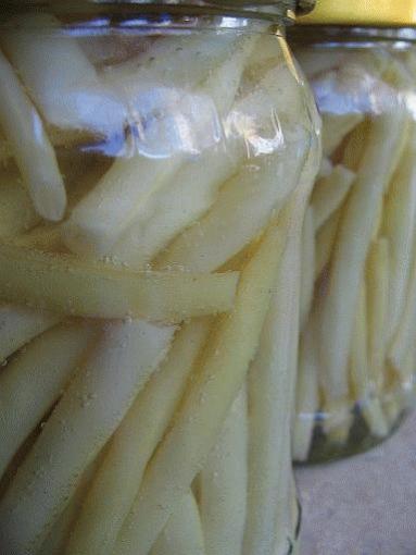 Zdjęcie - Fasolka szparagowa w słoikach na zimę - Przepisy kulinarne ze zdjęciami