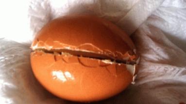 Zdjęcie - Jajka faszerowane na ciepło - Przepisy kulinarne ze zdjęciami