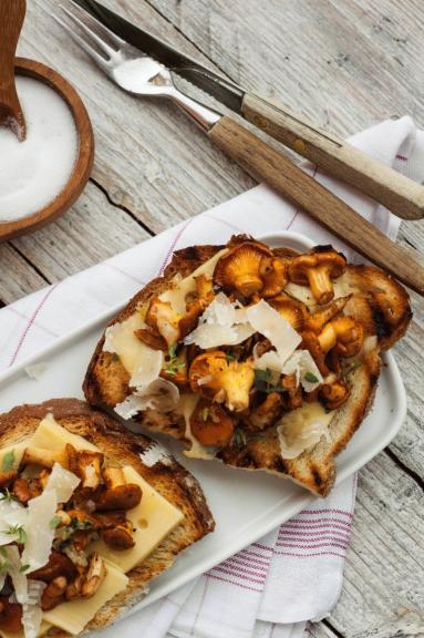 Zdjęcie - Rustykalne grzanki z serem i kurkami - Przepisy kulinarne ze zdjęciami