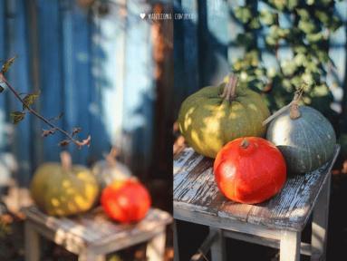 Zdjęcie - Zupa dyniowa z jabłkiem i chilli - Przepisy kulinarne ze zdjęciami