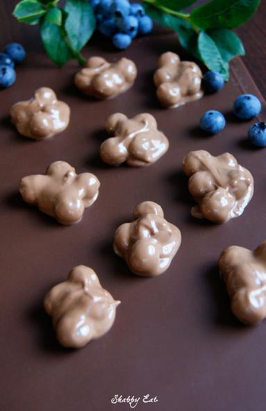 Zdjęcie - Borówki w czekoladzie - Przepisy kulinarne ze zdjęciami