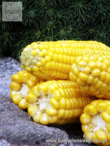Zdjęcie - Jak ugotować kukurydzę ? – przepis - Przepisy kulinarne ze zdjęciami
