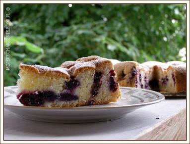 Zdjęcie - Ciasto biszkoptowe z borówką amerykańską - Przepisy kulinarne ze zdjęciami