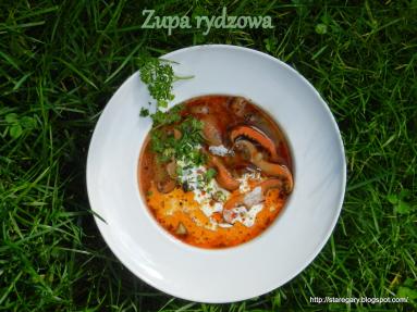 Zdjęcie - Zupa z rydzów - Przepisy kulinarne ze zdjęciami