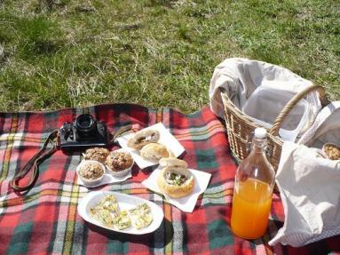 Zdjęcie - Smakowity piknik - Przepisy kulinarne ze zdjęciami