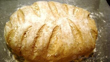 Zdjęcie - Chleb pszenny hiszpański Pan Rustico - Przepisy kulinarne ze zdjęciami
