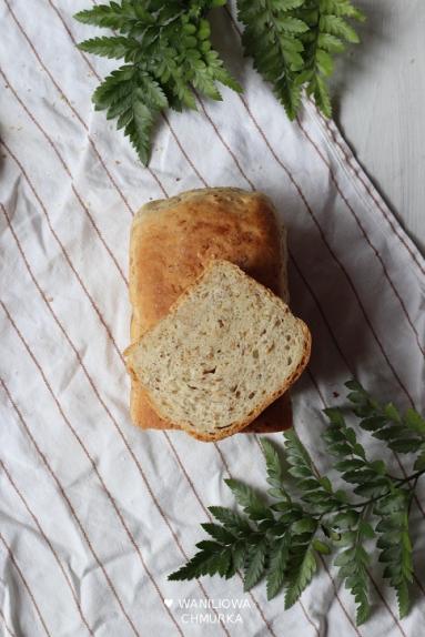 Zdjęcie - Pełnoziarnisty chleb tostowy i książka &quot;O chlebie&quot; - Przepisy kulinarne ze zdjęciami