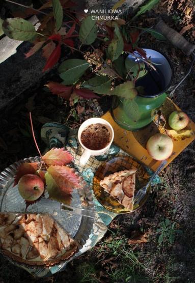 Zdjęcie - Tarta z twarożkiem, cynamonem i prażonymi jabłkami - Przepisy kulinarne ze zdjęciami