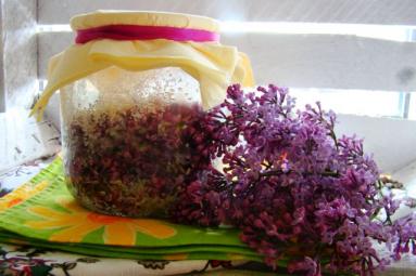 Zdjęcie - Aromatyczny syrop z bzu kolorowego - Przepisy kulinarne ze zdjęciami
