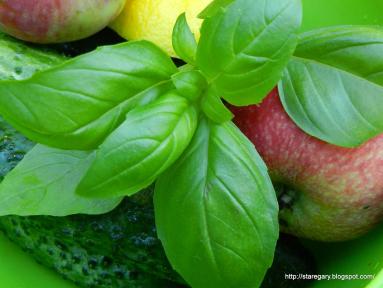 Zdjęcie - Letnia sałatka z jabłek ogórków i arbuza - Przepisy kulinarne ze zdjęciami