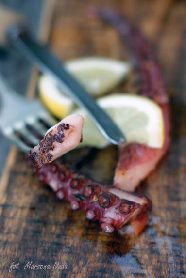 Zdjęcie - Grillowana ośmiornica - Przepisy kulinarne ze zdjęciami