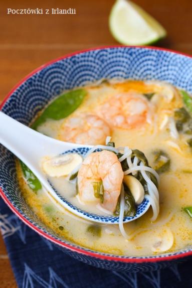 Zdjęcie - Azjatycka zupa laksa z krewetkami | U stóp Benbulbena - Przepisy kulinarne ze zdjęciami