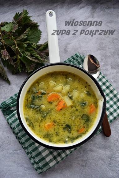 Zdjęcie - Szybka zupa z pokrzyw - Przepisy kulinarne ze zdjęciami