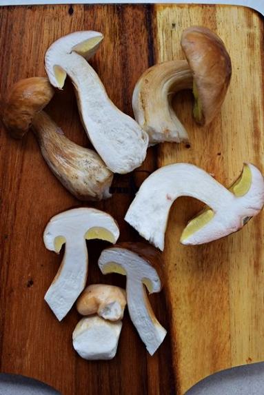 Zdjęcie - Sos carbonara z grzybami - Przepisy kulinarne ze zdjęciami