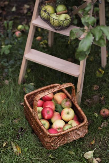 Zdjęcie - Jabłkowy sezon  i przepis na najlepszą pieczoną owsiankę - Przepisy kulinarne ze zdjęciami