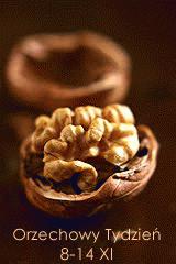 Zdjęcie - Delicja czekoladowa z orzechami laskowymi  - Przepisy kulinarne ze zdjęciami