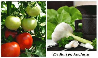 Zdjęcie - Makaronowa sałatka z suszonymi  pomidorami  - Przepisy kulinarne ze zdjęciami