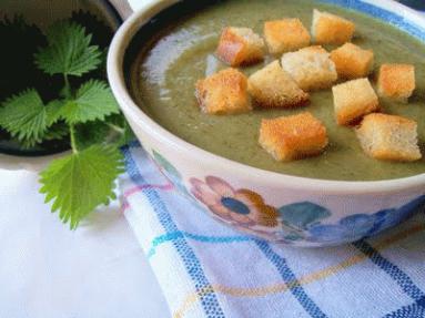 Zdjęcie - Zupa z  pokrzywy  - Przepisy kulinarne ze zdjęciami