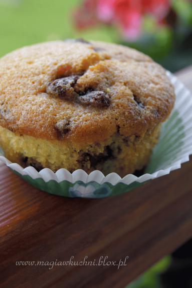 Zdjęcie - Muffiny cytrynowe z czekoladą    - Przepisy kulinarne ze zdjęciami