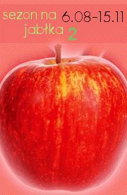 Zdjęcie - Ciasto holenderskie z jabłkami - Przepisy kulinarne ze zdjęciami