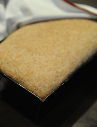 Zdjęcie - Chleb orkiszowy z otrębami - Przepisy kulinarne ze zdjęciami
