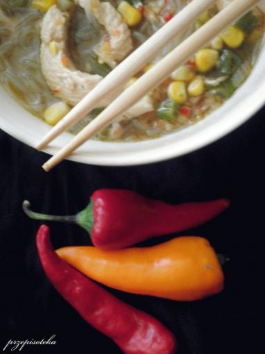Zdjęcie - Orientalna zupa ostro- kwaśna - Przepisy kulinarne ze zdjęciami