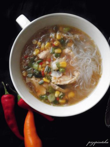 Zdjęcie - Orientalna zupa ostro- kwaśna - Przepisy kulinarne ze zdjęciami