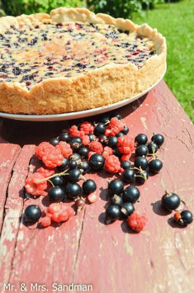 Zdjęcie - Całodzienne wyprawy do lasu i tarta jagodowa - Przepisy kulinarne ze zdjęciami