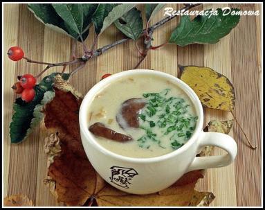 Zdjęcie - Tradycyjna zupa grzybowa ze świeżych borowików - Przepisy kulinarne ze zdjęciami