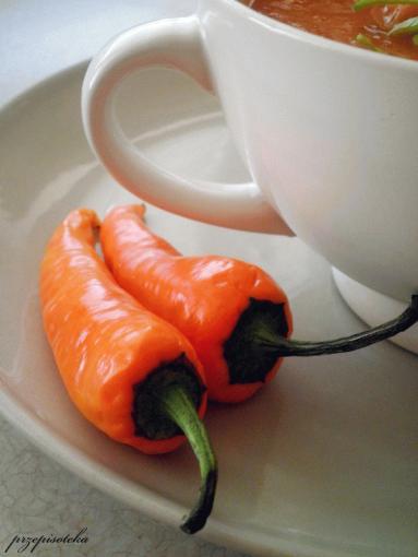 Zdjęcie - Zupa krem pomidorowo- porowa - Przepisy kulinarne ze zdjęciami