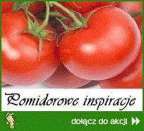 Zdjęcie - Sok pomidorowy - domowy, zdrowy i pożywny - Przepisy kulinarne ze zdjęciami