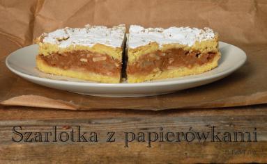 Zdjęcie - Szarlotka z papierówek - Przepisy kulinarne ze zdjęciami