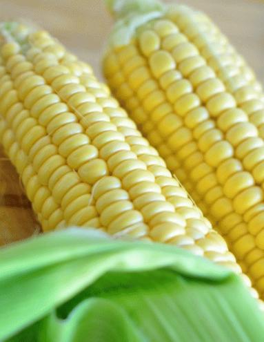 Zdjęcie - Zupa ze świeżej kukurydzy i pomidorów - Przepisy kulinarne ze zdjęciami