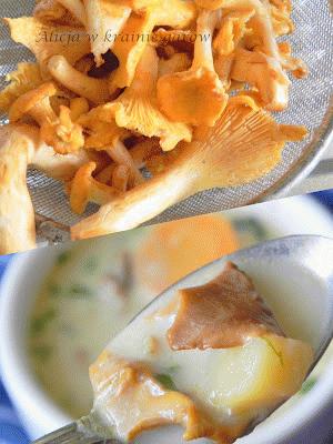 Zdjęcie - Zupa kurkowa - Przepisy kulinarne ze zdjęciami