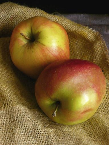 Zdjęcie - Chleb żytni z jabłkiem na zakwasie - Przepisy kulinarne ze zdjęciami