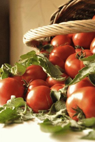 Zdjęcie - Faszerowane pomidory - Przepisy kulinarne ze zdjęciami