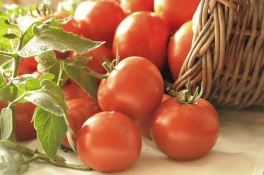 Zdjęcie - Pomidorowa sałatka - Przepisy kulinarne ze zdjęciami