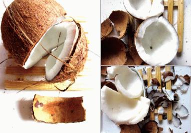 Zdjęcie - Napój  z  orzecha kokosowego - Przepisy kulinarne ze zdjęciami