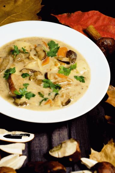Zdjęcie - Zupa grzybowa - Przepisy kulinarne ze zdjęciami