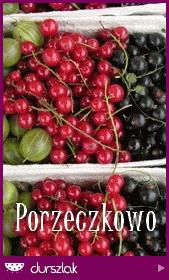Zdjęcie - Limburgse vlaai, czyli limburski placek z owocami - Przepisy kulinarne ze zdjęciami