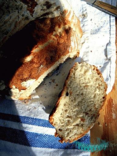 Zdjęcie - Chleb orkiszowo-żytni na zakwasie - Przepisy kulinarne ze zdjęciami