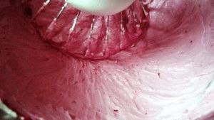 Zdjęcie - Jeżynowy sernik na zimno - Przepisy kulinarne ze zdjęciami