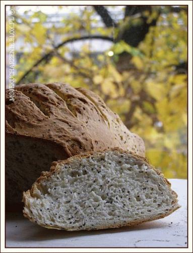 Zdjęcie - Mleczny chleb z makiem - World Bread Day 2013 - Przepisy kulinarne ze zdjęciami