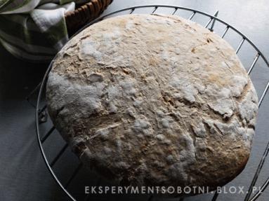 Zdjęcie - pierwszy chleb nocny - Przepisy kulinarne ze zdjęciami