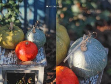 Zdjęcie - Zupa dyniowa z jabłkiem i chilli - Przepisy kulinarne ze zdjęciami