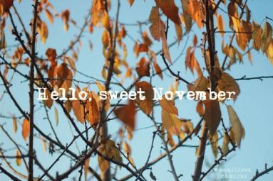 Zdjęcie - Hello, sweet November. Czekoladowa rolada z bananem. - Przepisy kulinarne ze zdjęciami