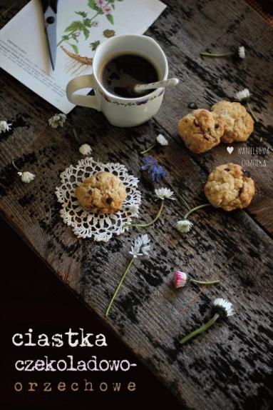 Zdjęcie - Ciastka czekoladowo-orzechowe - Przepisy kulinarne ze zdjęciami